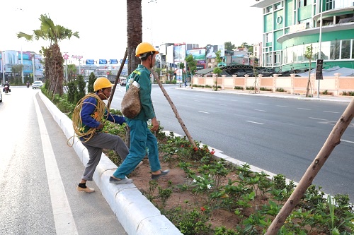 Đi bộ vẫn phải tuân thủ quy định về an toàn giao thông