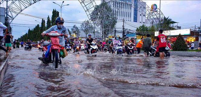  Triều cường tại Cần Thơ sẽ dâng cao trong 3 ngày tới